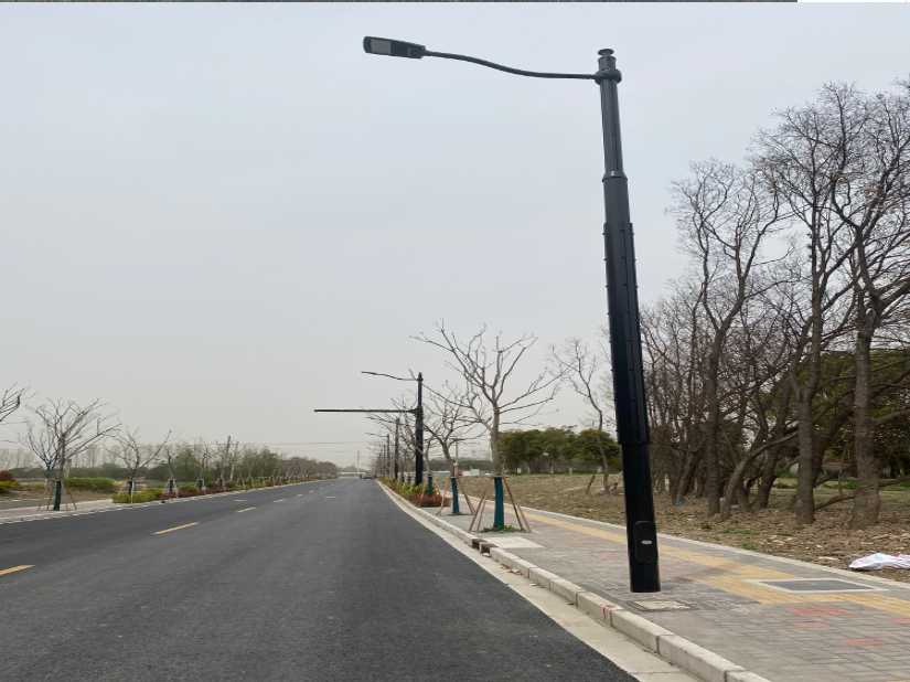 长春市上海综合杆 太阳能路灯工程